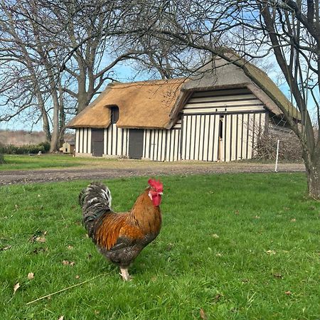 Sainte-Opportune-la-Mare Le Domaine Caribou B&B 외부 사진